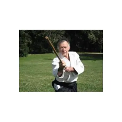 Bo Chene Rouge Effile Meiji 180cm - 2