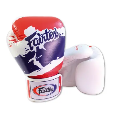Gants de boxe Fairtex Thai Pride