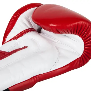 Gants de boxe Fairtex FXV6 - 4