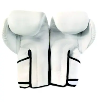 Gants de boxe Fairtex FXV6 - 11
