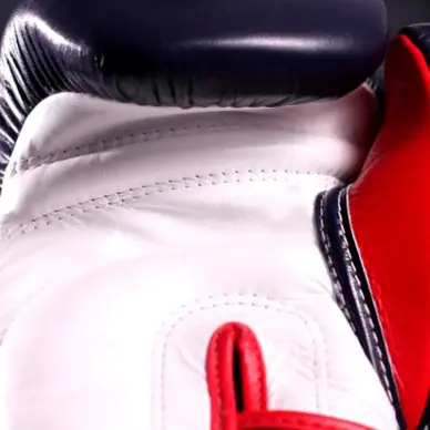 Gants de boxe Fairtex FXV6 - 14