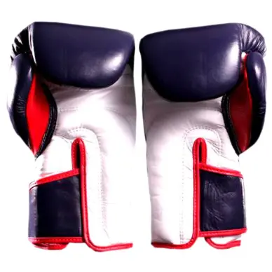 Gants de boxe Fairtex FXV6 - 16