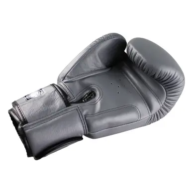 Gants de Boxe Twins BGVL 3 - 10