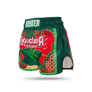 Short de Boxe Thai TBT Country MA - 3