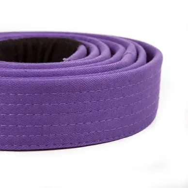 Ceinture de JJB Venum Violette