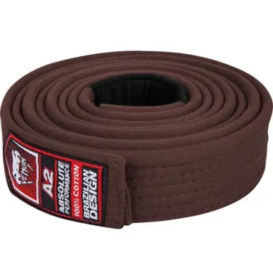 Ceinture de JJB Venum Marron - 2
