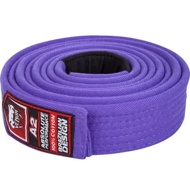 Ceinture de JJB Venum Violette - 2