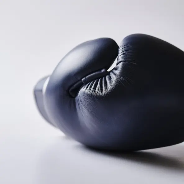 Gants de Boxe Elion Collection Paris 100% cuir