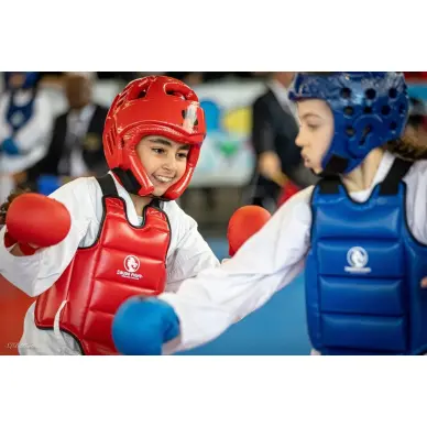 Plastron Karaté réversible FFK - 4