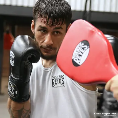 Gants de Boxe Cleto Reyes Pro Sparring 100% cuir - 15