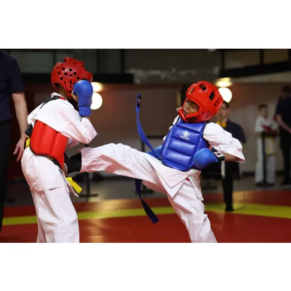 Plastron Karaté réversible FFK