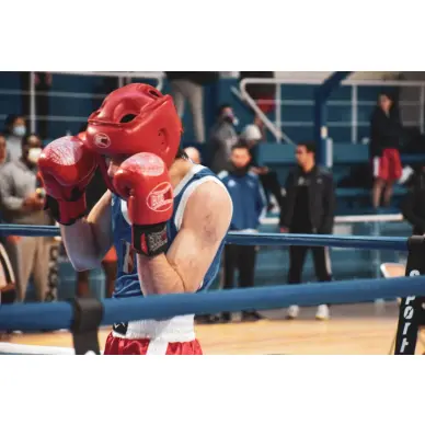 Casque de Boxe Full Contact - 15