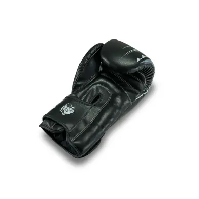 Gants de Boxe King Pro Boxing Spartan Series