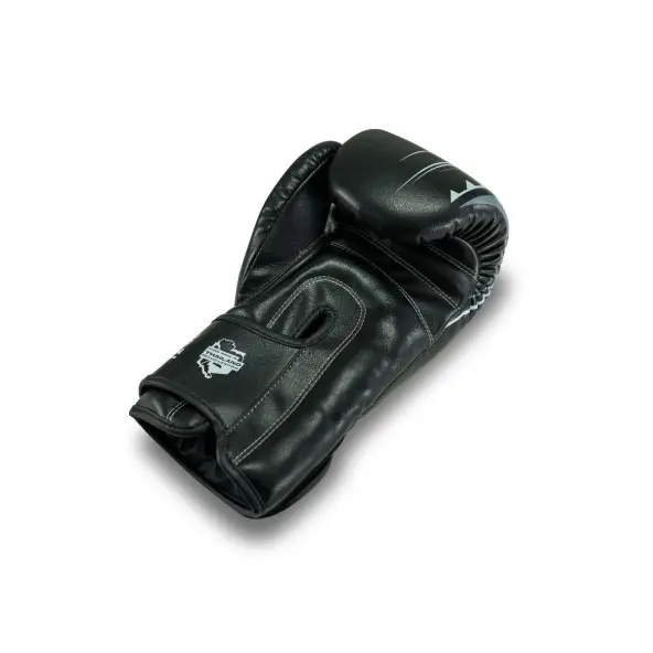 Gants de Boxe King Pro Boxing Spartan Series
