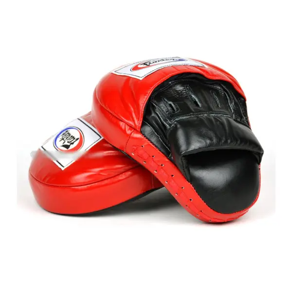 Pattes d'ours de Boxe courbées Fairtex Pro taille M