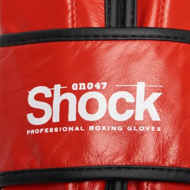 Gants de boxe Leone Shock - 12