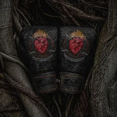 Gants de boxe Fairtex Atencio le Coeur de Guerrier - 5