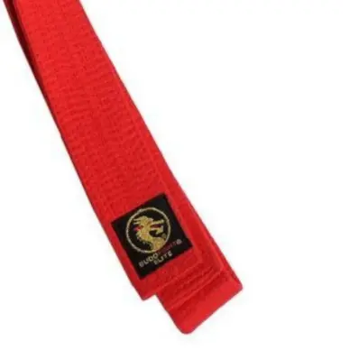 Ceinture de Judo Elite Budofight - 8
