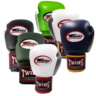 Gants de boxe Twins BGVL 4 - 22