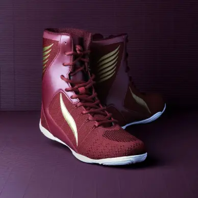 Chaussures de boxe Elion Bordeaux - 10
