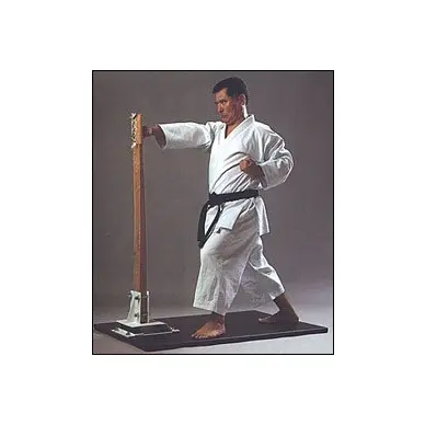 Makiwara Shureido - 3