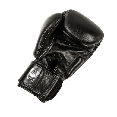 Gants de boxe Twins BGVL 8 - 10