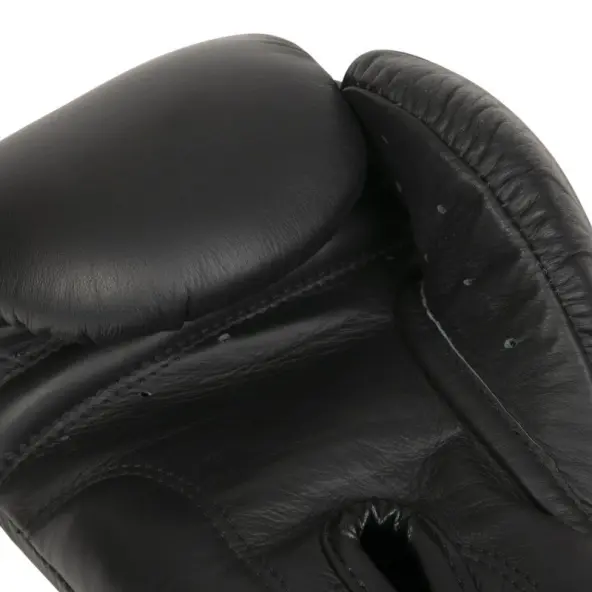 Gants de boxe Elion Élégant 100% cuir