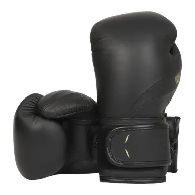 Gants de boxe Elion Élégant 100% cuir - 20
