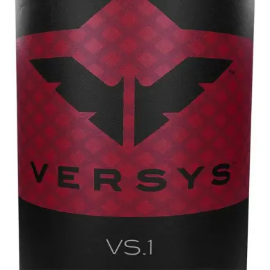 Punching Ball et Grappling Century Versys VS1 - 6