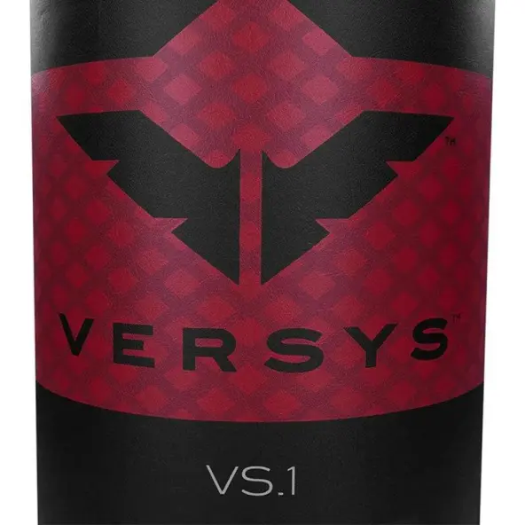 Punching Ball et Grappling Century Versys VS1