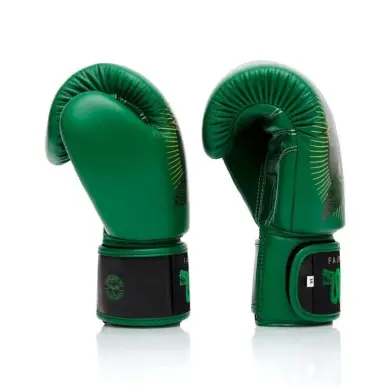 Gants de boxe Fairtex Atencio Resurrection - 6