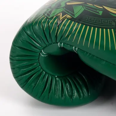 Gants de boxe Fairtex Atencio Resurrection - 11