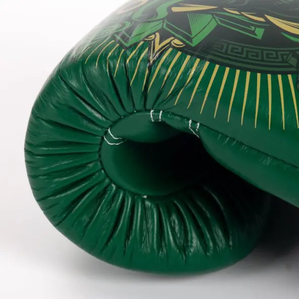 Gants de boxe Fairtex Atencio Resurrection