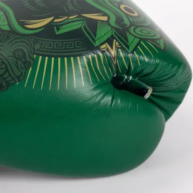 Gants de boxe Fairtex Atencio Resurrection - 12