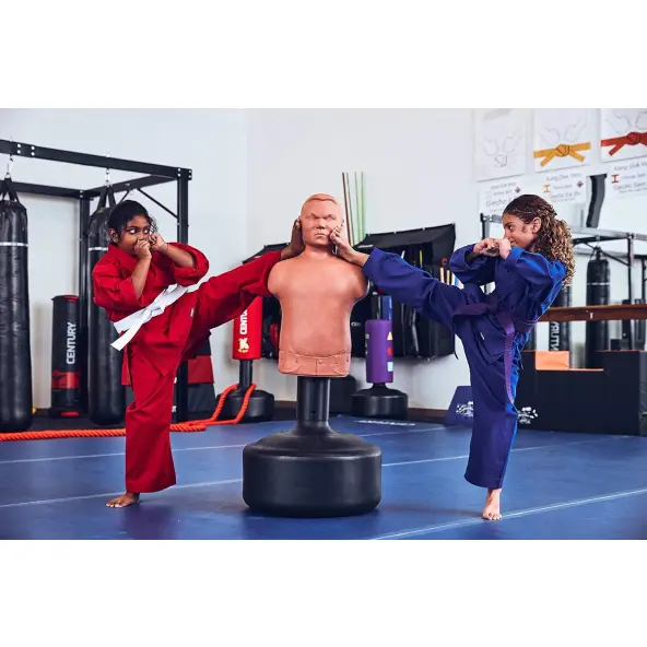 Punching Ball Bobby Bully Century