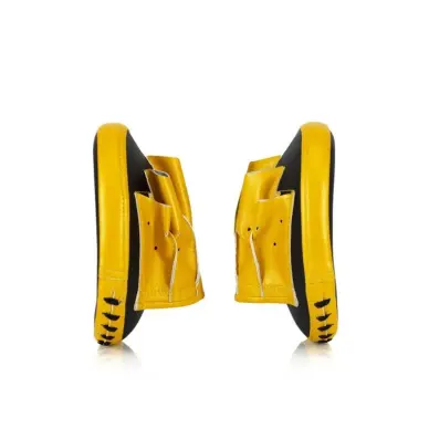 Pattes d'ours de Boxe Fairtex taille M - 3