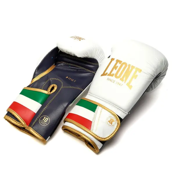 Gants de Boxe Leone Italie