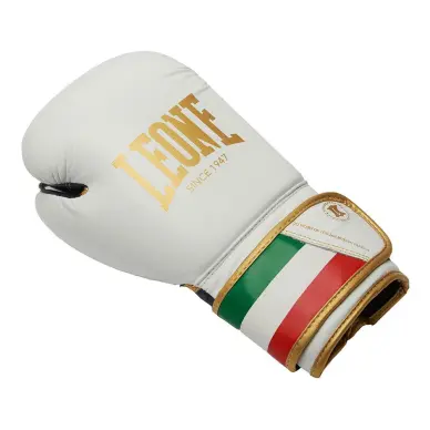 Gants de Boxe Leone Italie - 4