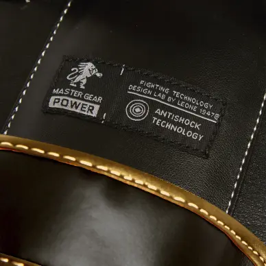 Pao de Boxe incurvé Leone - 5