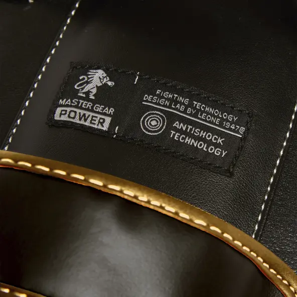 Pao de Boxe incurvé Leone