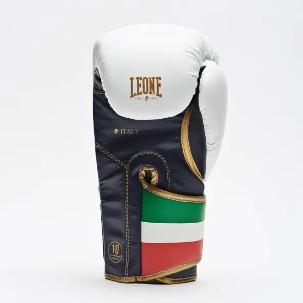 Gants de Boxe Leone Italie