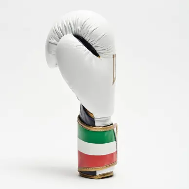Gants de Boxe Leone Italie - 10