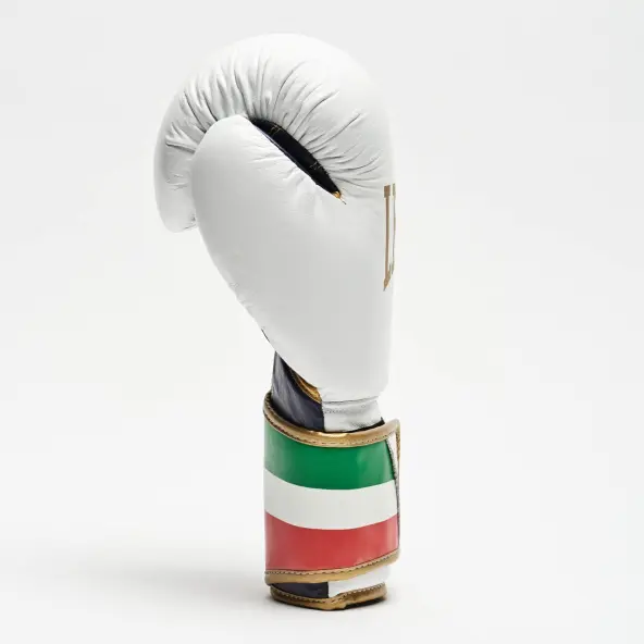 Gants de Boxe Leone Italie
