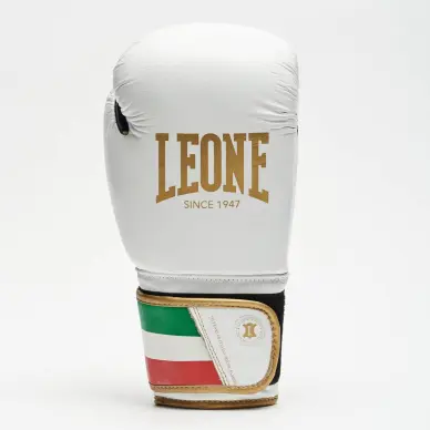 Gants de Boxe Leone Italie - 11