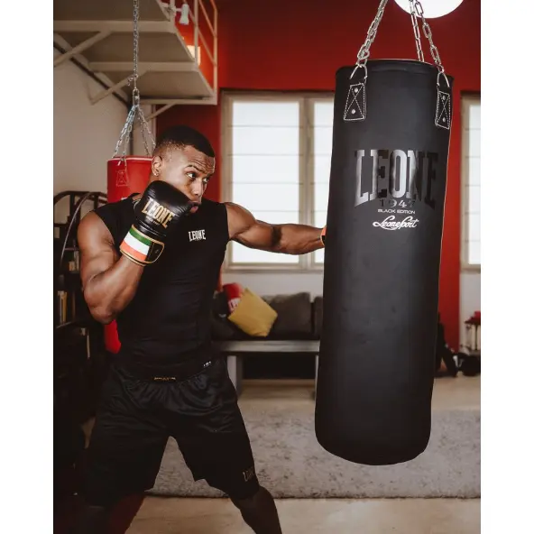 Gants de Boxe Leone Italie