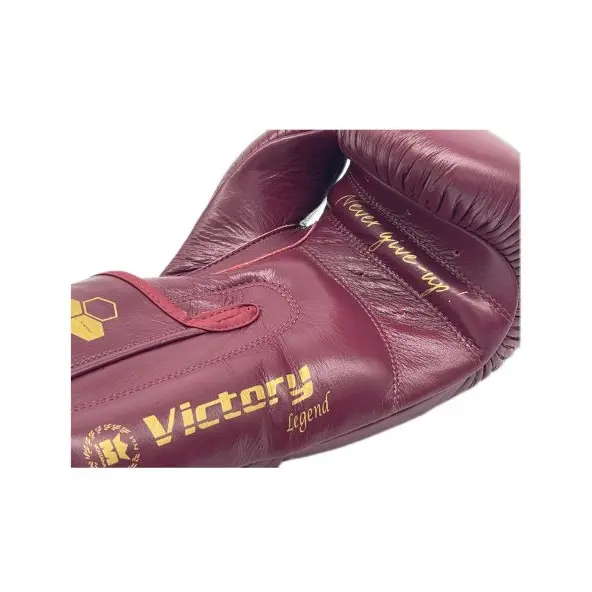 Gants de Boxe Montana Victory Legend