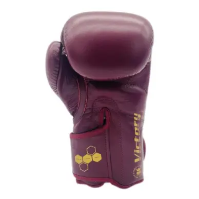 Gants de Boxe Montana Victory Legend - 2