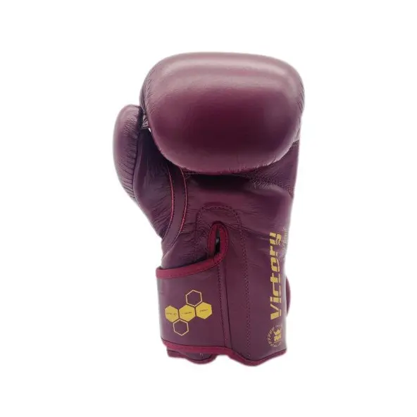Gants de Boxe Montana Victory Legend