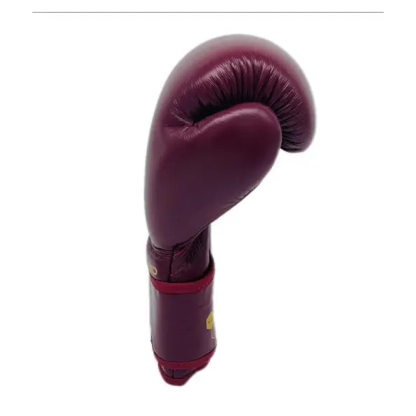 Gants de Boxe Montana Victory Legend