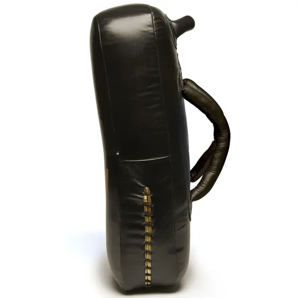 Bouclier de frappe Leone